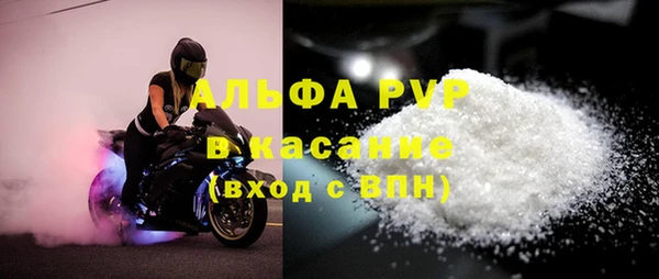 гашик Горно-Алтайск