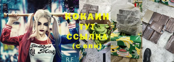гашик Горно-Алтайск