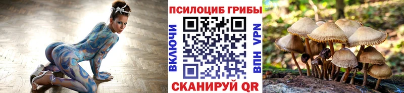 Галлюциногенные грибы мицелий  Новосибирск 